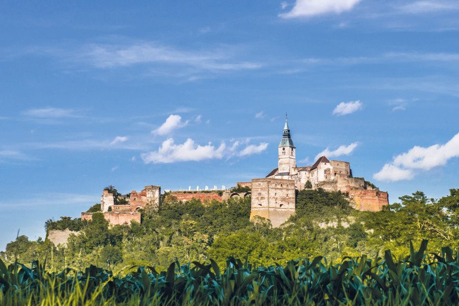 ausflugsziel_burg-guessing_n1599-137223-1_l
