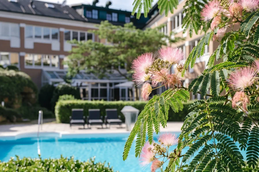 hotel-albizia-pool